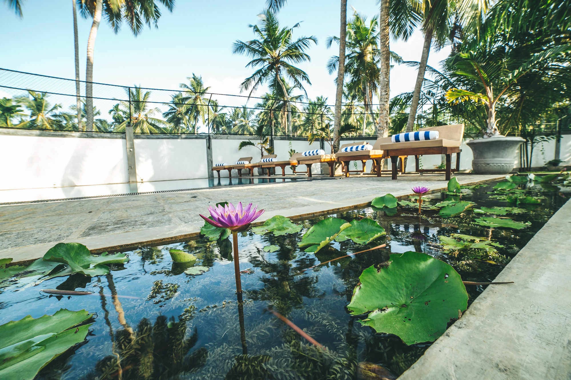 Sisikirana Villa Унаватуна Екстер'єр фото